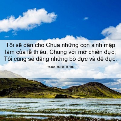 Picture 06 - Thánh Thi 66:15 VIE - Tôi sẽ dân cho Chúa những con sinh mập - Bible Verse Picture