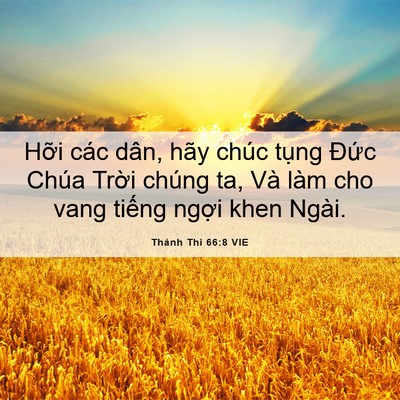 Picture 06 - Thánh Thi 66:8 VIE - Hỡi các dân, hãy chúc tụng Đức Chúa - Bible Verse Picture