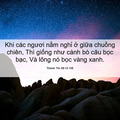 Picture 06 - Thánh Thi 68:13 VIE - Khi các ngươi nằm nghỉ ở giữa chuồng - Bible Verse Picture