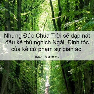 Picture 06 - Thánh Thi 68:21 VIE - Nhưng Đức Chúa Trời sẽ đạp nát - Bible Verse Picture