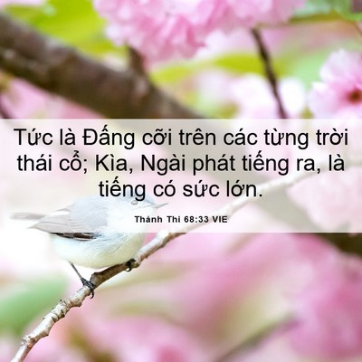 Picture 06 - Thánh Thi 68:33 VIE - Tức là Đấng cỡi trên các từng trời - Bible Verse Picture