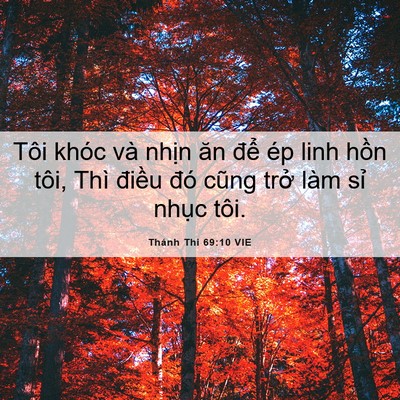 Picture 06 - Thánh Thi 69:10 VIE - Tôi khóc và nhịn ăn để ép linh hồn - Bible Verse Picture