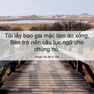 Picture 06 - Thánh Thi 69:11 VIE - Tôi lấy bao gai mặc làm áo xống, Bèn - Bible Verse Picture