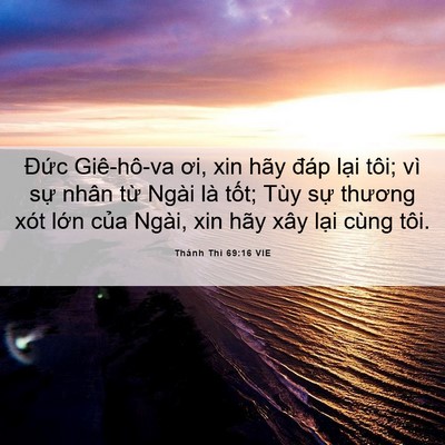 Picture 06 - Thánh Thi 69:16 VIE - Đức Giê-hô-va ơi, xin hãy đáp lại - Bible Verse Picture