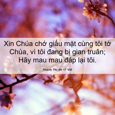 Picture 06 - Thánh Thi 69:17 VIE - Xin Chúa chớ giấu mặt cùng tôi tớ - Bible Verse Picture