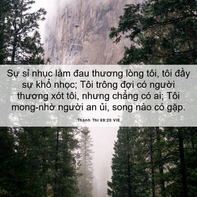 Picture 06 - Thánh Thi 69:20 VIE - Sự sỉ nhục làm đau thương lòng tôi, - Bible Verse Picture