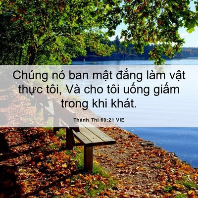 Picture 06 - Thánh Thi 69:21 VIE - Chúng nó ban mật đắng làm vật thực - Bible Verse Picture