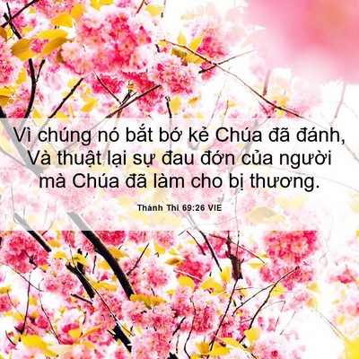 Picture 06 - Thánh Thi 69:26 VIE - Vì chúng nó bắt bớ kẻ Chúa đã đánh, - Bible Verse Picture