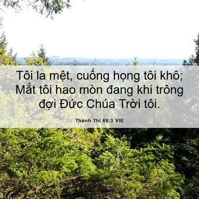 Picture 06 - Thánh Thi 69:3 VIE - Tôi la mệt, cuống họng tôi khô; Mắt - Bible Verse Picture