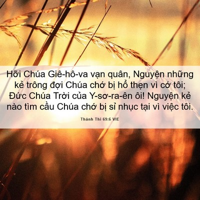 Picture 06 - Thánh Thi 69:6 VIE - Hỡi Chúa Giê-hô-va vạn quân, Nguyện - Bible Verse Picture