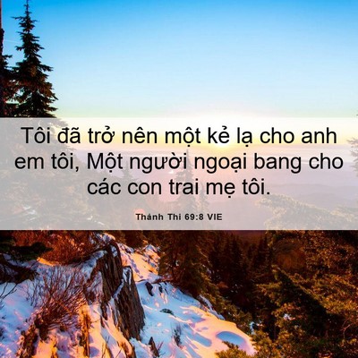 Picture 06 - Thánh Thi 69:8 VIE - Tôi đã trở nên một kẻ lạ cho anh em - Bible Verse Picture