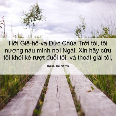 Picture 06 - Thánh Thi 7:1 VIE - Hỡi Giê-hô-va Đức Chúa Trời tôi, tôi - Bible Verse Picture