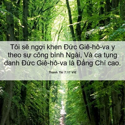 Picture 06 - Thánh Thi 7:17 VIE - Tôi sẽ ngợi khen Đức Giê-hô-va y theo - Bible Verse Picture