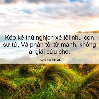 Picture 06 - Thánh Thi 7:2 VIE - Kẻo kẻ thù nghịch xé tôi như con sư - Bible Verse Picture