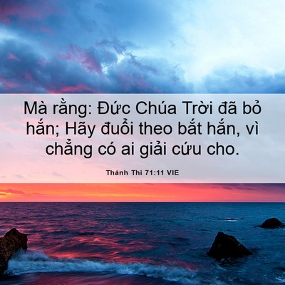 Picture 06 - Thánh Thi 71:11 VIE - Mà rằng: Đức Chúa Trời đã bỏ hắn; - Bible Verse Picture