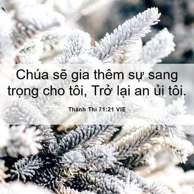Picture 06 - Thánh Thi 71:21 VIE - Chúa sẽ gia thêm sự sang trọng cho tôi, - Bible Verse Picture