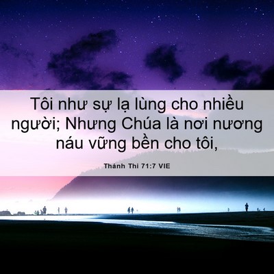 Picture 06 - Thánh Thi 71:7 VIE - Tôi như sự lạ lùng cho nhiều người; - Bible Verse Picture