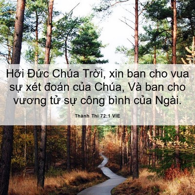 Picture 06 - Thánh Thi 72:1 VIE - Hỡi Đức Chúa Trời, xin ban cho vua sự - Bible Verse Picture
