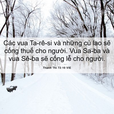 Picture 06 - Thánh Thi 72:10 VIE - Các vua Ta-rê-si và những cù lao sẽ - Bible Verse Picture