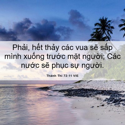 Picture 06 - Thánh Thi 72:11 VIE - Phải, hết thảy các vua sẽ sấp mình - Bible Verse Picture