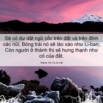 Picture 06 - Thánh Thi 72:16 VIE - Sẽ có dư dật ngũ cốc trên đất và - Bible Verse Picture
