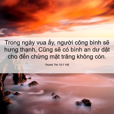 Picture 06 - Thánh Thi 72:7 VIE - Trong ngày vua ấy, người công bình sẽ - Bible Verse Picture