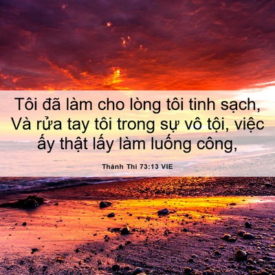 Picture 06 - Thánh Thi 73:13 VIE - Tôi đã làm cho lòng tôi tinh sạch, Và - Bible Verse Picture