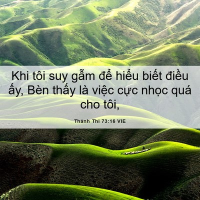 Picture 06 - Thánh Thi 73:16 VIE - Khi tôi suy gẫm để hiểu biết điều - Bible Verse Picture