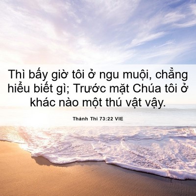 Picture 06 - Thánh Thi 73:22 VIE - Thì bấy giờ tôi ở ngu muội, chẳng - Bible Verse Picture