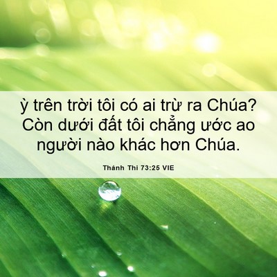 Picture 06 - Thánh Thi 73:25 VIE - ỳ trên trời tôi có ai trừ ra Chúa? Còn - Bible Verse Picture