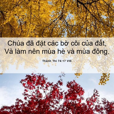 Picture 06 - Thánh Thi 74:17 VIE - Chúa đã đặt các bờ cõi của đất, - Bible Verse Picture