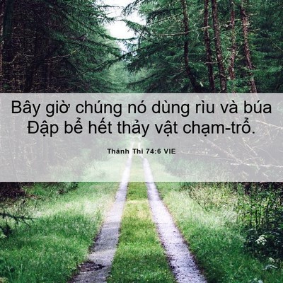 Picture 06 - Thánh Thi 74:6 VIE - Bây giờ chúng nó dùng rìu và búa Đập - Bible Verse Picture