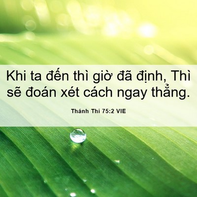Picture 06 - Thánh Thi 75:2 VIE - Khi ta đến thì giờ đã định, Thì sẽ - Bible Verse Picture