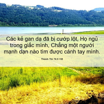 Picture 06 - Thánh Thi 76:5 VIE - Các kẻ gan dạ đã bị cướp lột, Họ - Bible Verse Picture