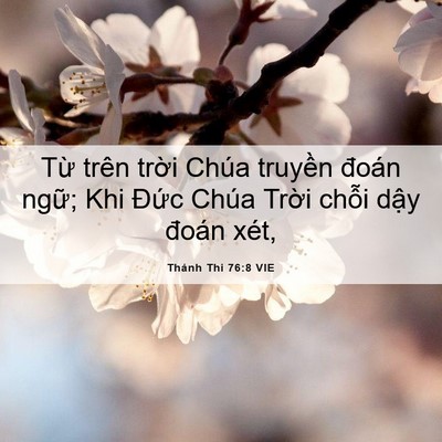 Picture 06 - Thánh Thi 76:8 VIE - Từ trên trời Chúa truyền đoán ngữ; - Bible Verse Picture