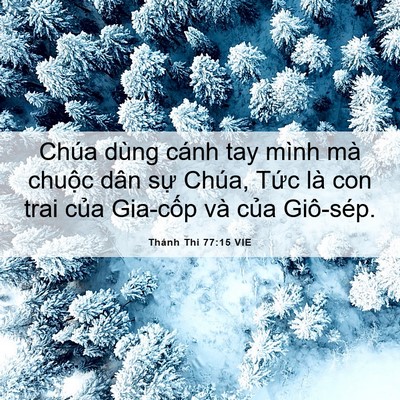 Picture 06 - Thánh Thi 77:15 VIE - Chúa dùng cánh tay mình mà chuộc dân sự - Bible Verse Picture