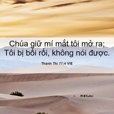 Picture 06 - Thánh Thi 77:4 VIE - Chúa giữ mí mắt tôi mở ra; Tôi bị - Bible Verse Picture