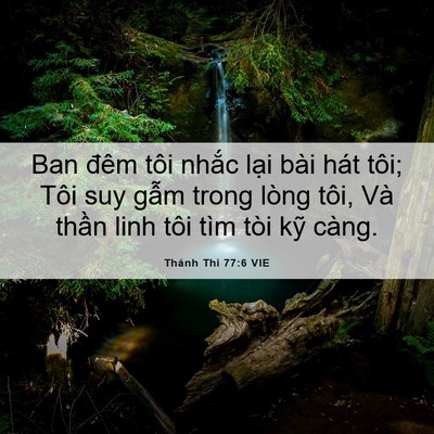 Picture 06 - Thánh Thi 77:6 VIE - Ban đêm tôi nhắc lại bài hát tôi; Tôi - Bible Verse Picture