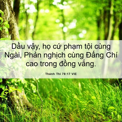 Picture 06 - Thánh Thi 78:17 VIE - Dầu vậy, họ cứ phạm tội cùng Ngài, - Bible Verse Picture
