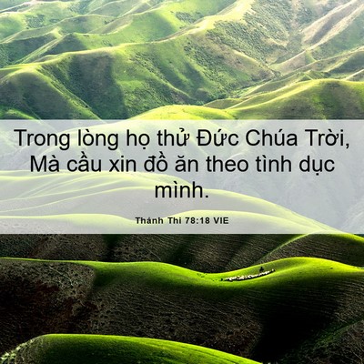 Picture 06 - Thánh Thi 78:18 VIE - Trong lòng họ thử Đức Chúa Trời, Mà - Bible Verse Picture