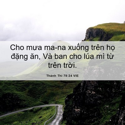 Picture 06 - Thánh Thi 78:24 VIE - Cho mưa ma-na xuống trên họ đặng ăn, - Bible Verse Picture