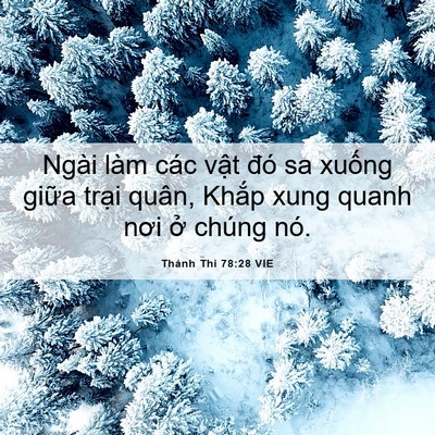 Picture 06 - Thánh Thi 78:28 VIE - Ngài làm các vật đó sa xuống giữa - Bible Verse Picture