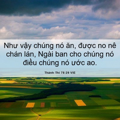 Picture 06 - Thánh Thi 78:29 VIE - Như vậy chúng nó ăn, được no nê chán - Bible Verse Picture