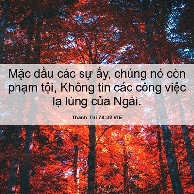 Picture 06 - Thánh Thi 78:32 VIE - Mặc dầu các sự ấy, chúng nó còn - Bible Verse Picture