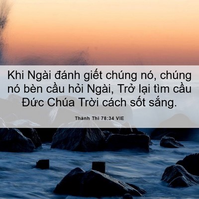 Picture 06 - Thánh Thi 78:34 VIE - Khi Ngài đánh giết chúng nó, chúng nó - Bible Verse Picture