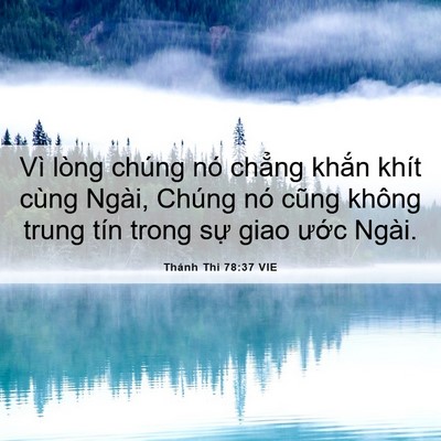 Picture 06 - Thánh Thi 78:37 VIE - Vì lòng chúng nó chẳng khắn khít cùng - Bible Verse Picture