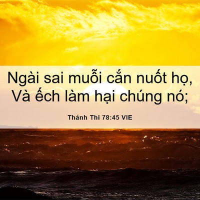 Picture 06 - Thánh Thi 78:45 VIE - Ngài sai muỗi cắn nuốt họ, Và ếch - Bible Verse Picture