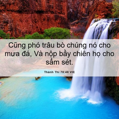 Picture 06 - Thánh Thi 78:48 VIE - Cũng phó trâu bò chúng nó cho mưa đá, - Bible Verse Picture