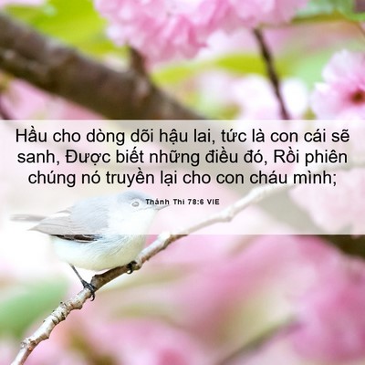 Picture 06 - Thánh Thi 78:6 VIE - Hầu cho dòng dõi hậu lai, tức là con - Bible Verse Picture