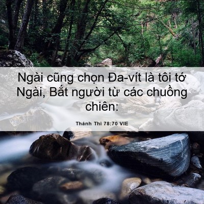Picture 06 - Thánh Thi 78:70 VIE - Ngài cũng chọn Đa-vít là tôi tớ Ngài, - Bible Verse Picture